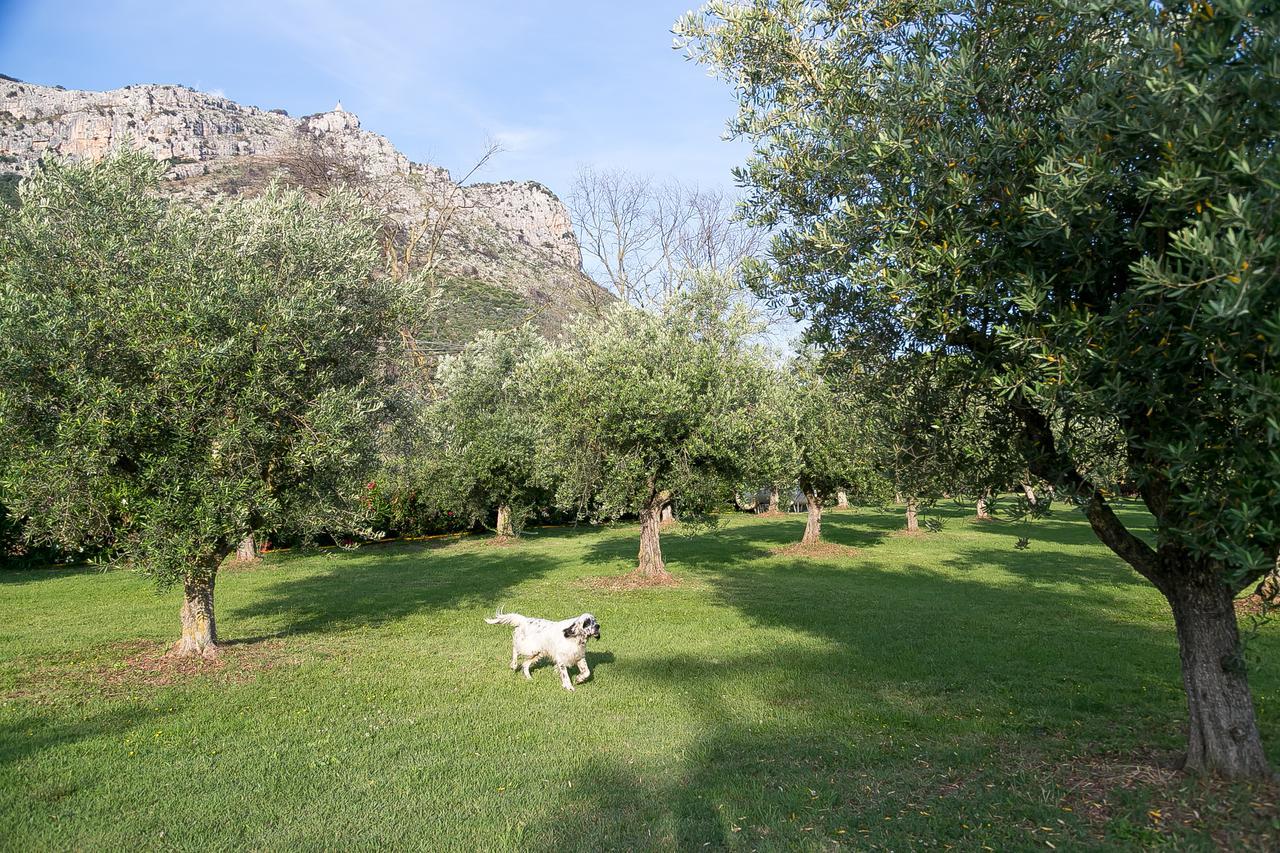 Belvedere Monte Leano Vendégház Terracina Kültér fotó
